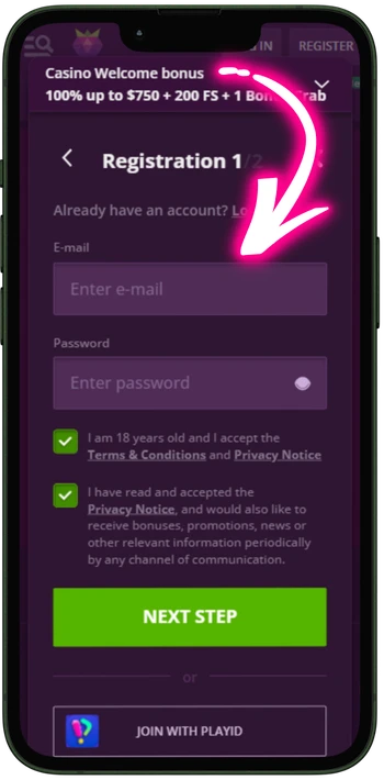 Malina Casino enter email and password
