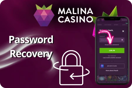 Malinacasino password recovery